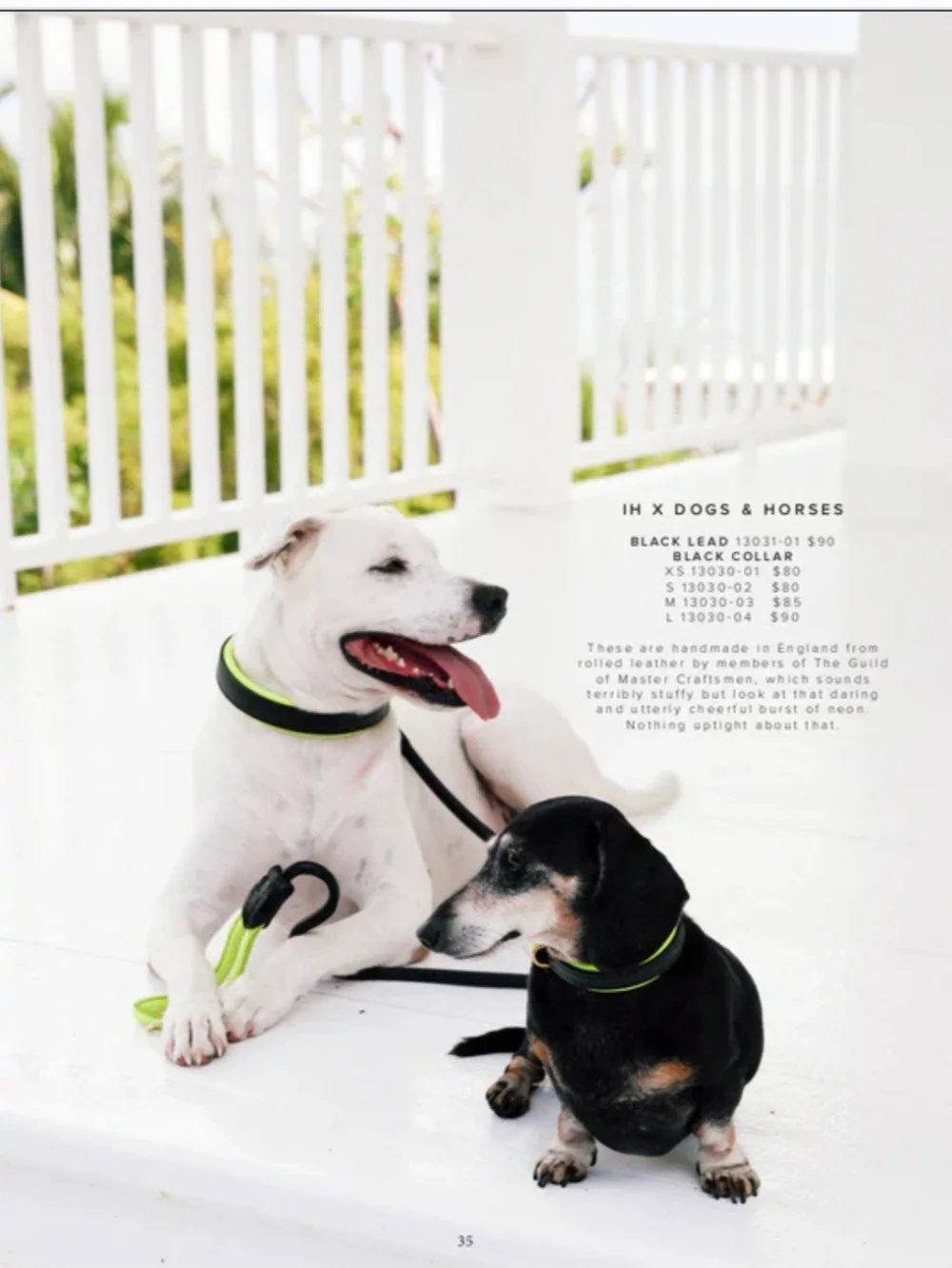 Hand Made In England, Real Leather!India Hicks Black and Neon Yellow Dog Collar